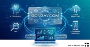 What Is Gonzay.com?